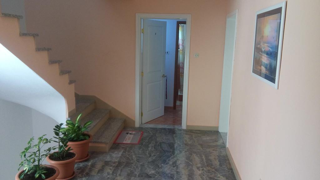 Apartments Erceg أوميس المظهر الخارجي الصورة