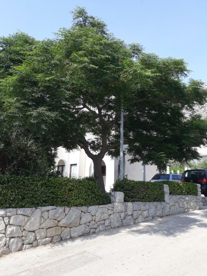 Apartments Erceg أوميس المظهر الخارجي الصورة